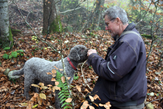 Reportage de Dany Schaer, journaliste photographe