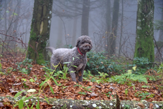 Reportage de Dany Schaer, journaliste photographe