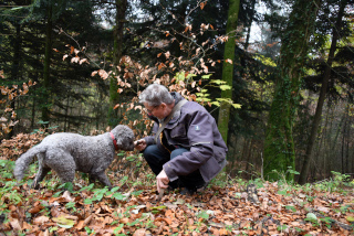 Reportage de Dany Schaer, journaliste photographe