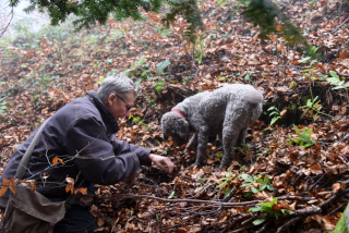 Reportage de Dany Schaer, journaliste photographe