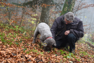 Reportage de Dany Schaer, journaliste photographe