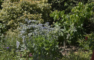 JardinArt un merveillement - Gros-de-Vaud, 21 juin 2022 - Reportage de Dany Schaer, journaliste photographe