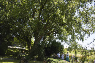 JardinArt un merveillement - Gros-de-Vaud, 21 juin 2022 - Reportage de Dany Schaer, journaliste photographe