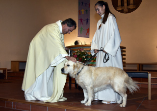 Bndiction des animaux - Eglise catholique de Payerne, samedi 8 octobre 2022 - Reportage de Dany Schaer, journaliste photographe
