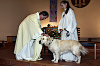 Bndiction des animaux - Eglise catholique de Payerne, samedi 8 octobre 2022 (cliquer ICI)