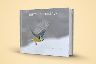 Pascal Engler: Instants dOiseaux, des images de rve - lEcho du Gros-de-Vaud, 11 mars 2022 - Reportage de Dany Schaer, journaliste photographe