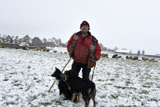 La transhumance hivernale, une tradition bien vivante. De Goumoens  Echallens, Nicola Toscano, berger. 28 janvier 2024 - Reportage de Dany Schaer, journaliste photographe