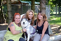Trois femmes se mobilisent pour les chiens polaires : Association SOS Chiens-polaires, Payerne - Septembre 2013 (Cliquer ICI)