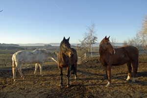 Retour
