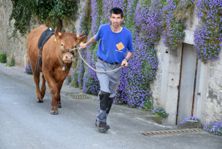 En période de Covid-19 la restauration se réinvente - Gros-de-Vaud, mai 2020 - Reportage de Dany Schaer, journaliste photographe