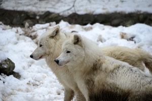 Retour