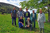 Les g�nisses partent � la colo. Plateau du Jorat, juillet 2012 (Cliquer ICI)